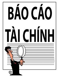 BÁO CÁO TÀI CHÍNH 2017